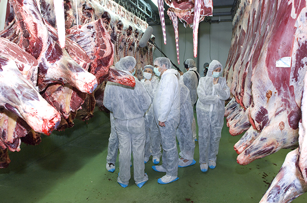 Abattoirs et salles de découpe chez McDonald’s