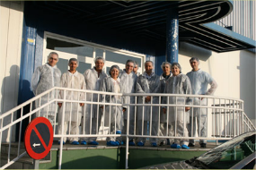 filière boeuf halal 1