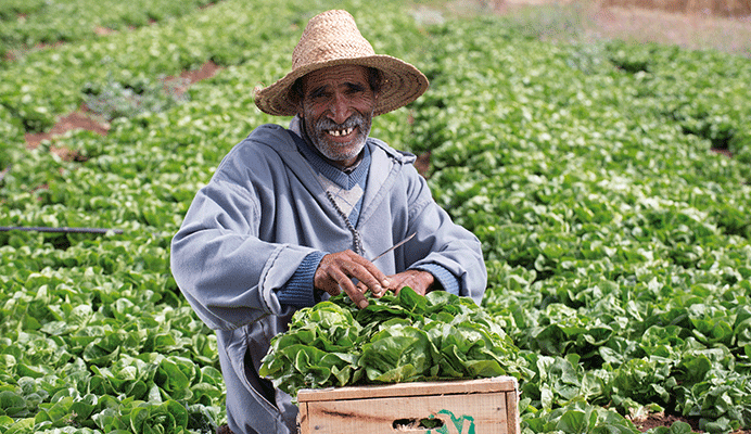 Produits McDONALD's marocain Produits McDONALD's marocain