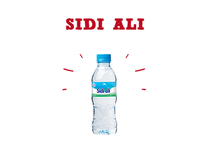 Sidi Ali