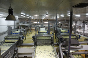 usine de frite chez McDonald’s usine de frite chez McDonald’s